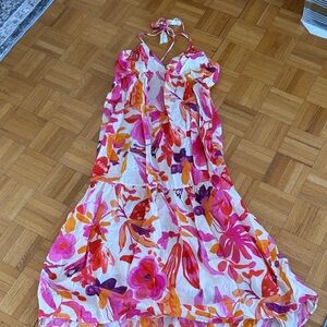 Zara Multicolor Floral Backless Dress